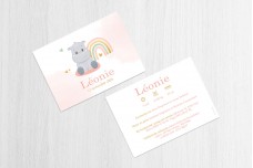 Nijlpaardje en regenboog Nijlpaardje en regenboog